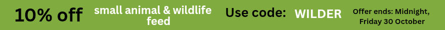 Discount offer banner image